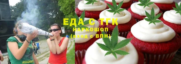 индика Ельня