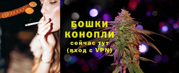 амф Елизово