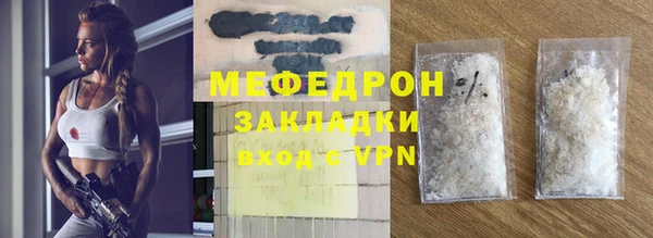 индика Ельня