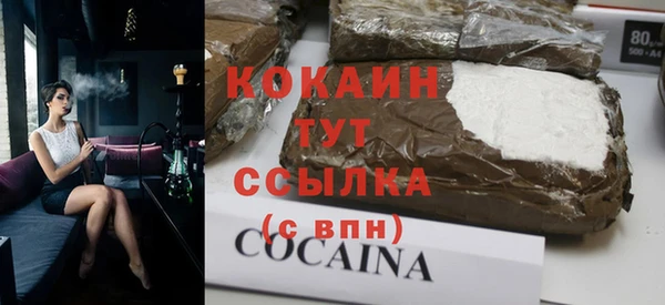 индика Ельня