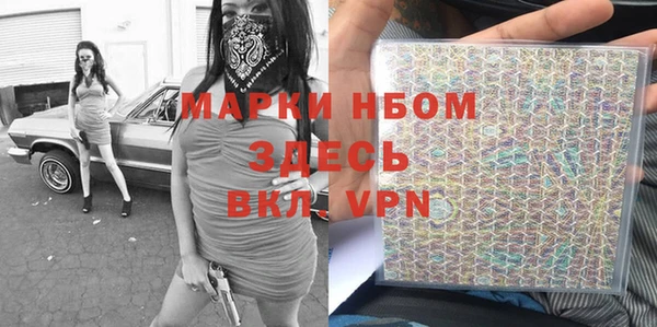 индика Ельня