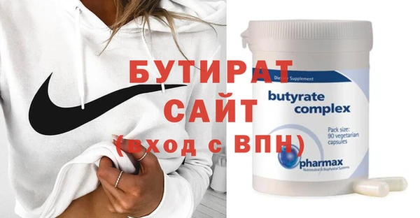 индика Ельня