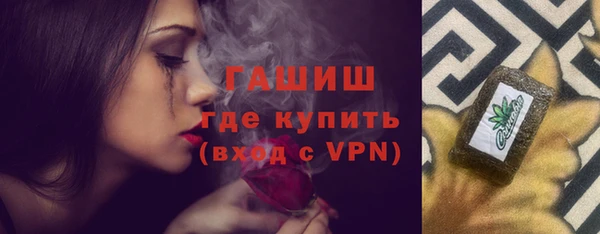 индика Ельня