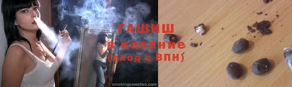 индика Ельня