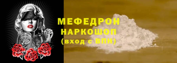 индика Ельня