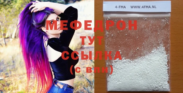 индика Ельня