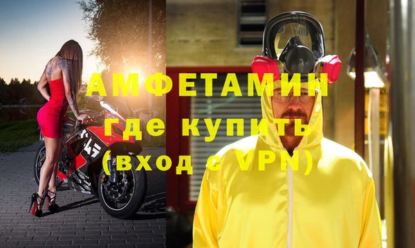 индика Ельня