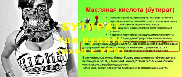 индика Ельня