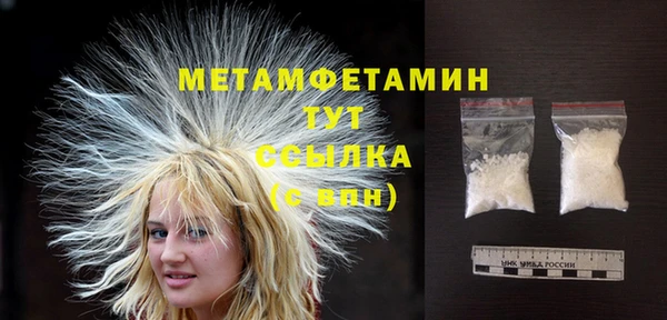 индика Ельня