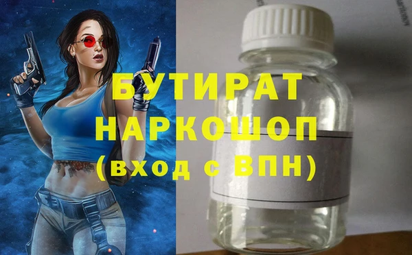 индика Ельня