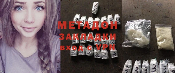 индика Ельня