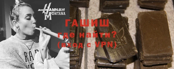 индика Ельня