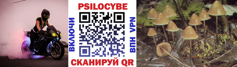 Псилоцибиновые грибы GOLDEN TEACHER  Ефремов 